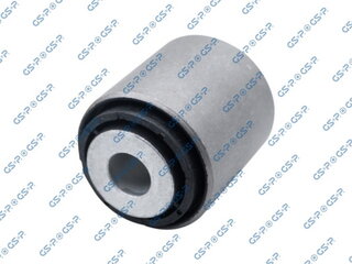 GSP 535796