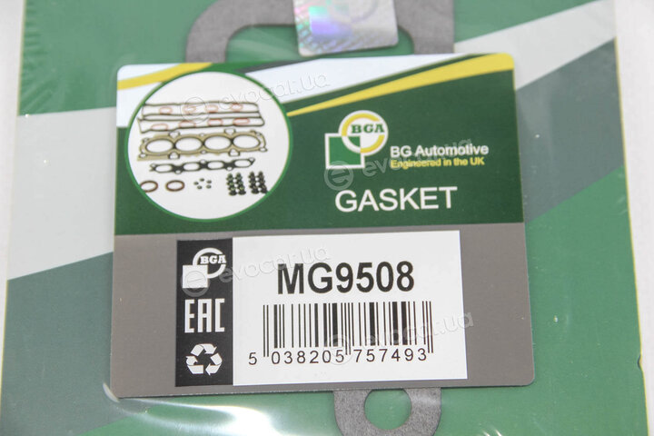 BGA MG9508
