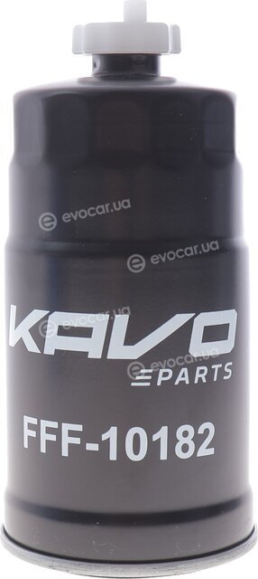 Kavo FFF-10182