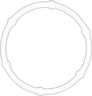 Mopar (PSA / FCA) 9805583380