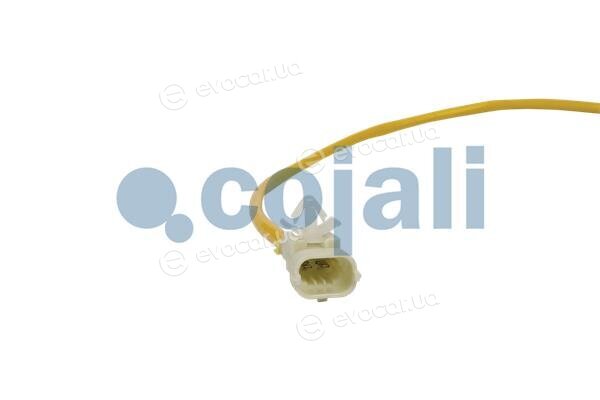 Cojali 2262019