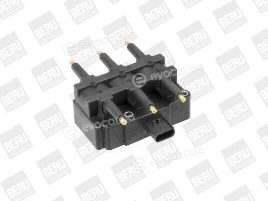 Beru ZS456