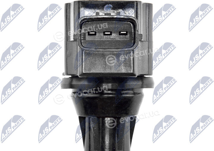NTY ECZ-NS-010