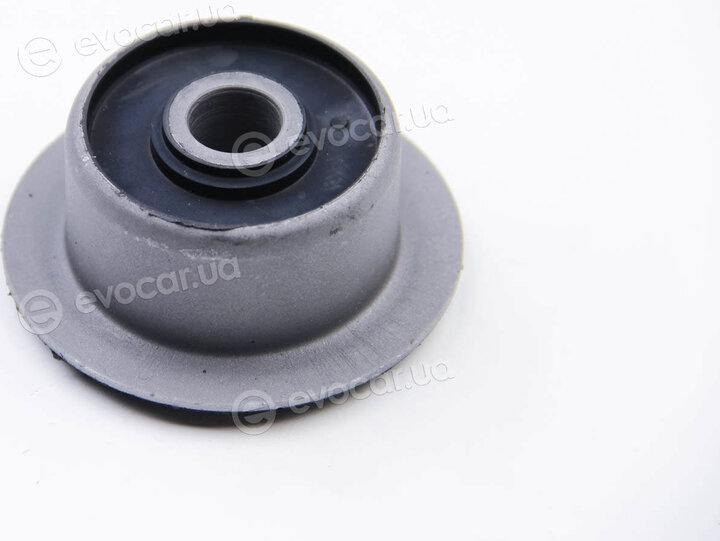 BC Guma 0633