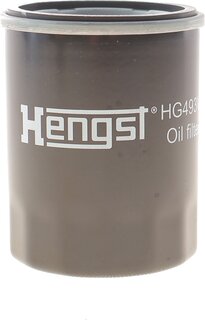 Hengst HG493W