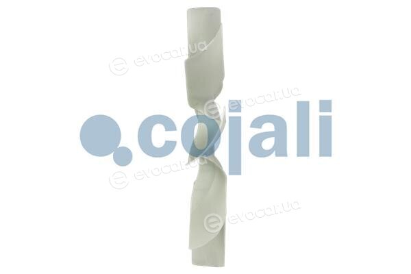 Cojali 8521634