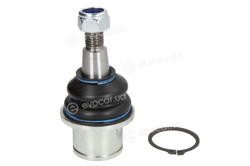 Reinhoch RH03-5009
