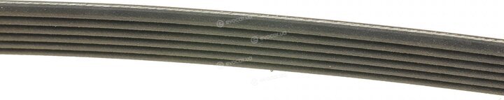 Dayco 6PK1365