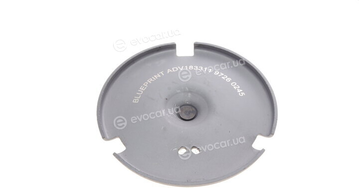 Blue Print ADV183311