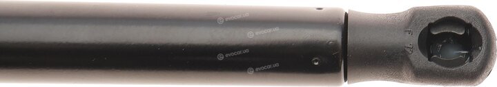 Stabilus 033839