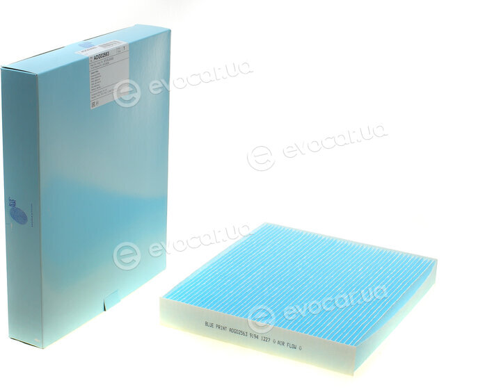 Blue Print ADG02563