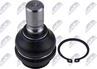 NTY ZSD-NS-021