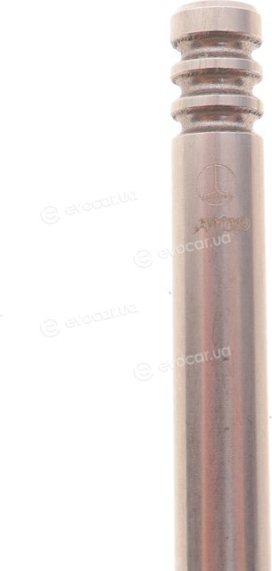 AMP PAUD018-A-0-N