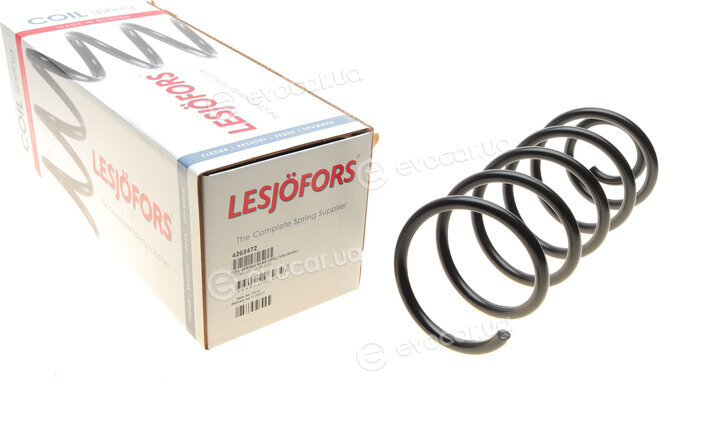 Lesjofors 4263472