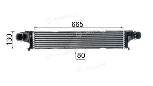 Mahle CI 145 000P