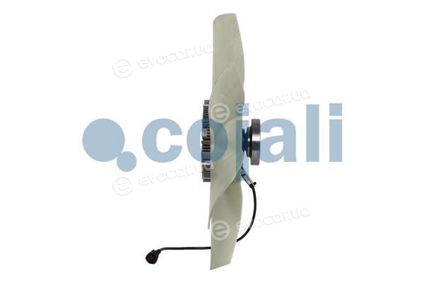 Cojali 7085410