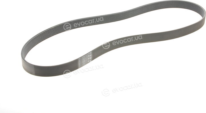 Continental 8PK1395