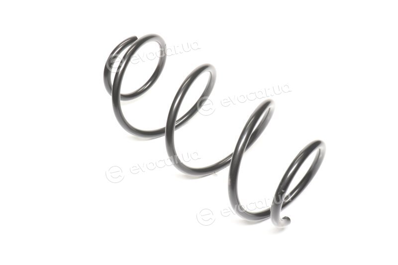 Lesjofors 4062052