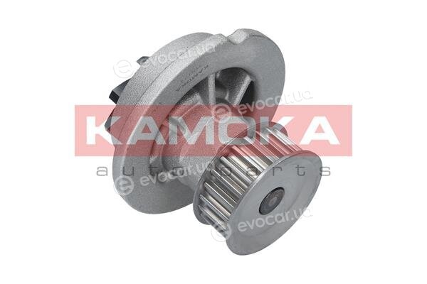 Kamoka T0071
