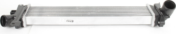 Kale 352270
