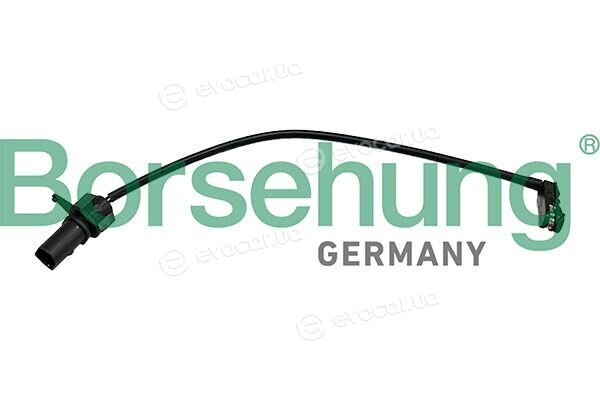 Borsehung B13272