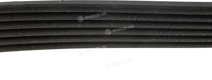 Dayco 6PK1680