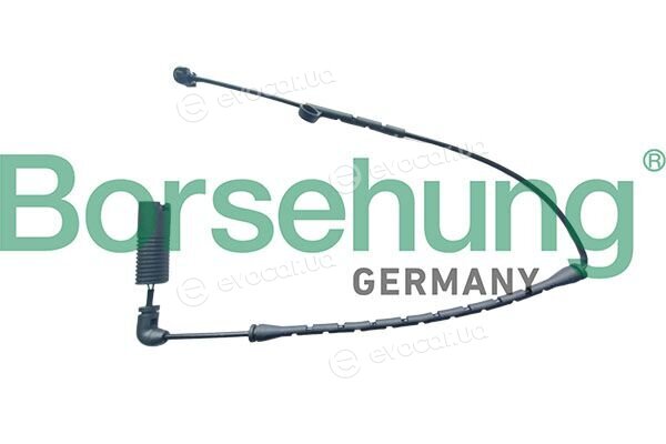 Borsehung B13172