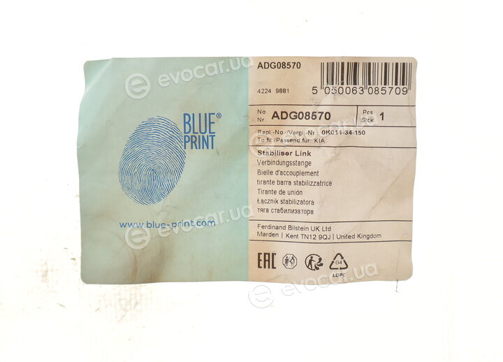Blue Print ADG08570