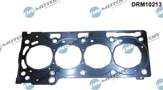 Dr. Motor DRM10213