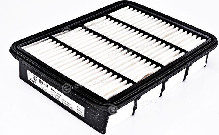 Mahle LX 929