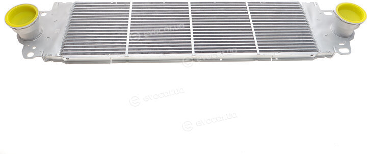 Solgy 114023