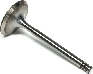Gunes 5904/1