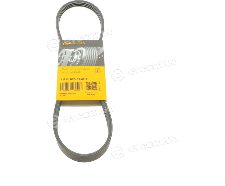 Continental 4PK826 ELAST