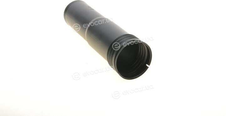 Borsehung B10026
