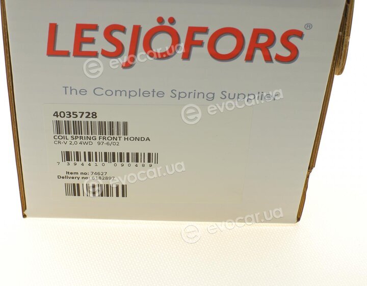 Lesjofors 4035728