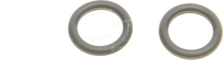 Elring 295.500