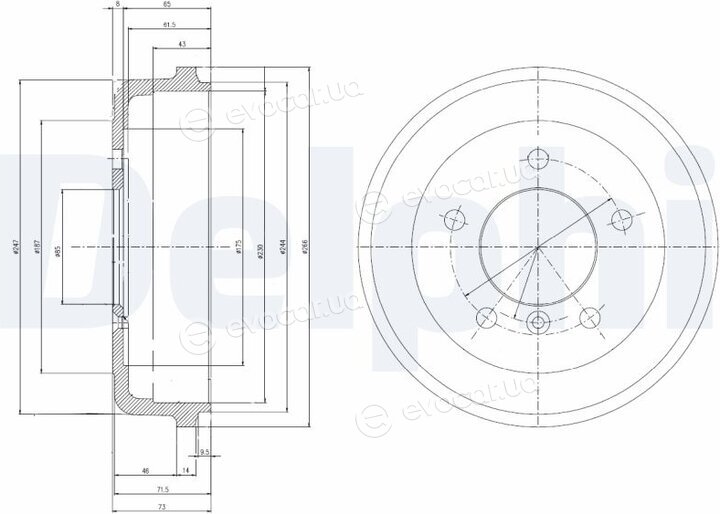 Delphi BF168