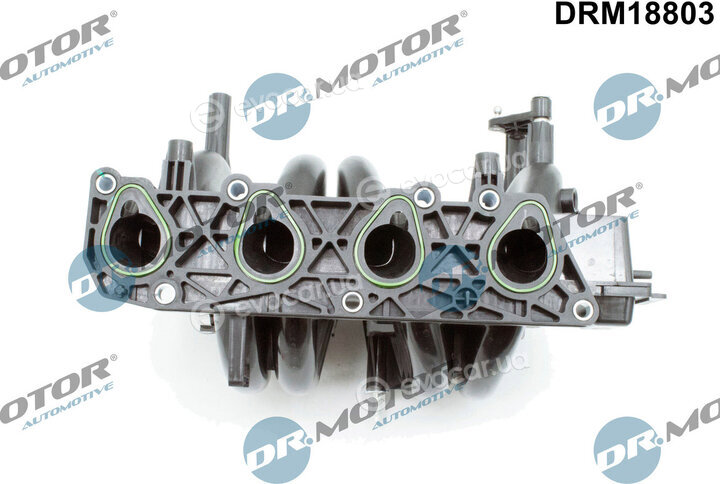 Dr. Motor DRM18803