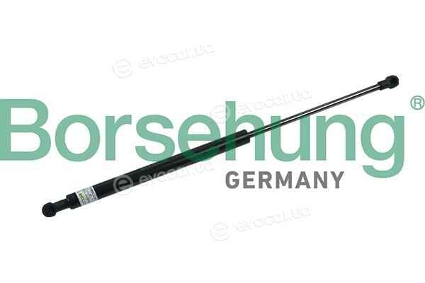 Borsehung B18453