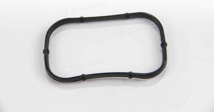 Elring 524.020