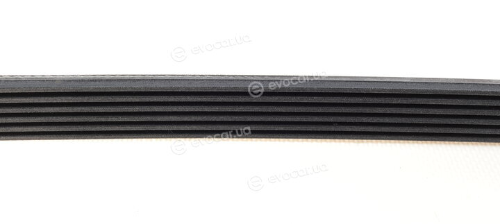 Continental 6PK862