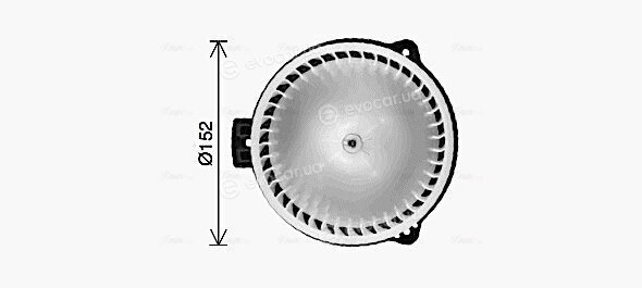 AVA OL8728