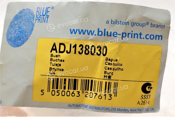 Blue Print ADJ138030