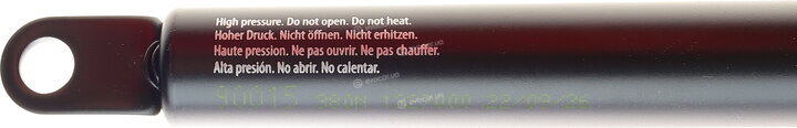 Lesjofors 8008403
