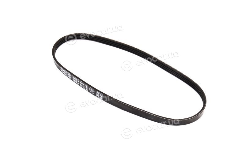 Dayco 4PK730