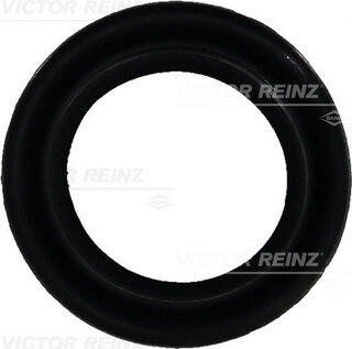Victor Reinz 702587600