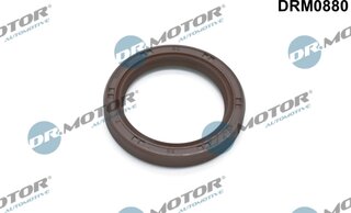 Dr. Motor DRM0880