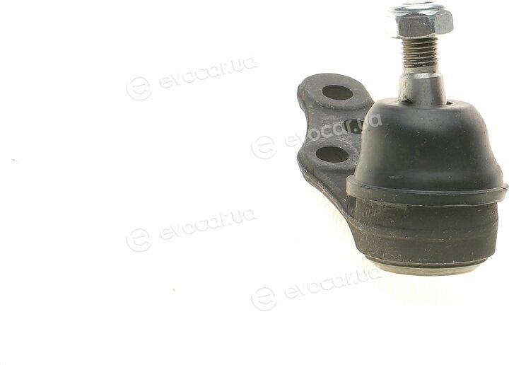 Solgy 203024