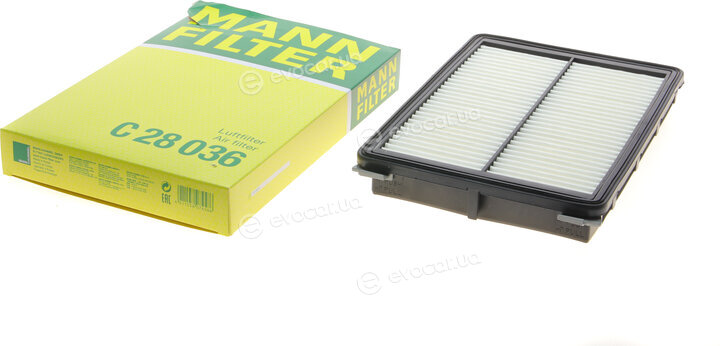 Mann C 28 036