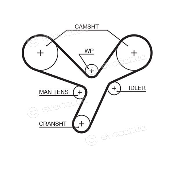 Gates K015643XS